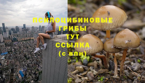 a pvp Волоколамск