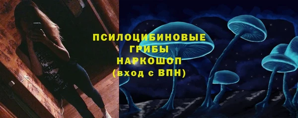 СК Волосово