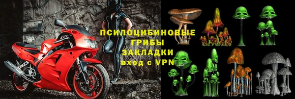 СК Волосово